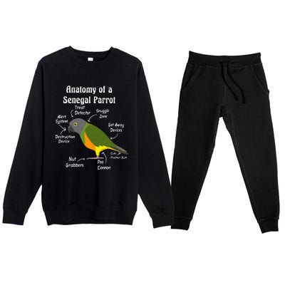 Anatomy Of A Senegal Parrot Premium Crewneck Sweatsuit Set