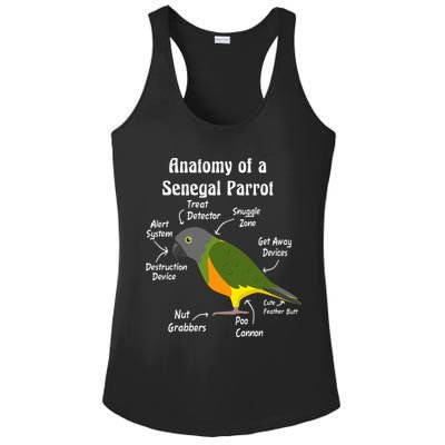 Anatomy Of A Senegal Parrot Ladies PosiCharge Competitor Racerback Tank