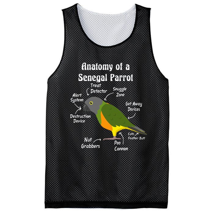 Anatomy Of A Senegal Parrot Mesh Reversible Basketball Jersey Tank