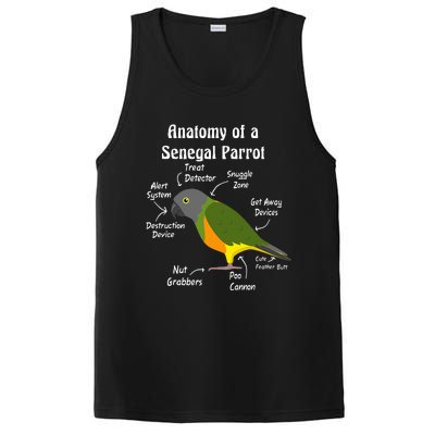 Anatomy Of A Senegal Parrot PosiCharge Competitor Tank