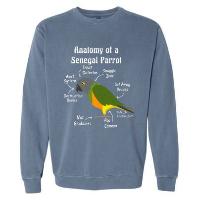 Anatomy Of A Senegal Parrot Garment-Dyed Sweatshirt