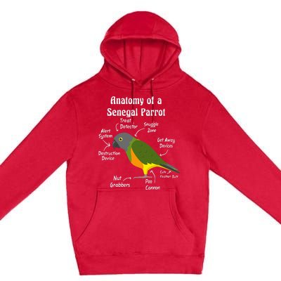 Anatomy Of A Senegal Parrot Premium Pullover Hoodie