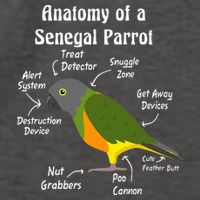 Anatomy Of A Senegal Parrot Vector Backpack