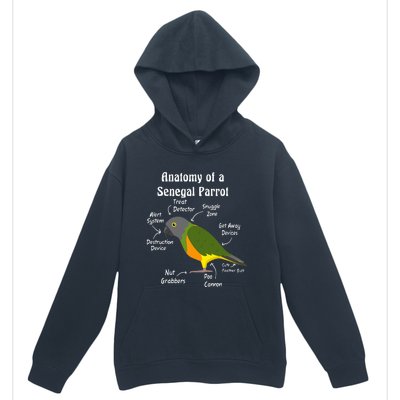 Anatomy Of A Senegal Parrot Urban Pullover Hoodie