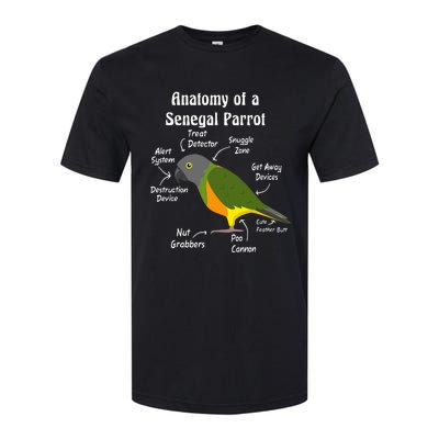 Anatomy Of A Senegal Parrot Softstyle CVC T-Shirt