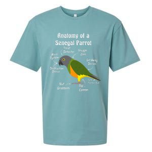 Anatomy Of A Senegal Parrot Sueded Cloud Jersey T-Shirt