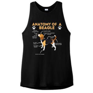 Anatomy Of A Beagle Funny Beagle Dog Lover Pet Owner Ladies PosiCharge Tri-Blend Wicking Tank