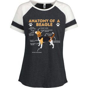 Anatomy Of A Beagle Funny Beagle Dog Lover Pet Owner Enza Ladies Jersey Colorblock Tee