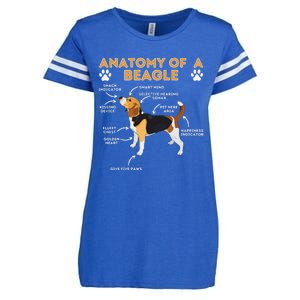 Anatomy Of A Beagle Funny Beagle Dog Lover Pet Owner Enza Ladies Jersey Football T-Shirt