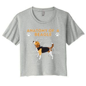 Anatomy Of A Beagle Funny Beagle Dog Lover Pet Owner Women's Crop Top Tee