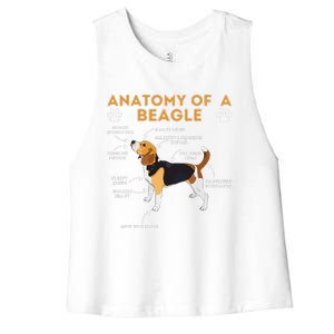 Anatomy Of A Beagle Funny Beagle Dog Lover Pet Owner Women's Racerback Cropped Tank