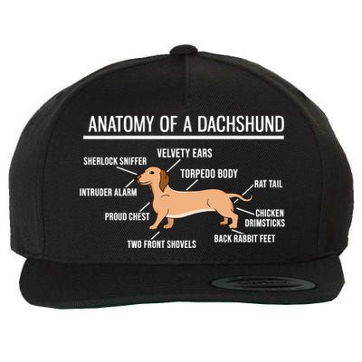 Anatomy Of A Dachshund Funny Gift Cute Funny Dog Puppy Wool Snapback Cap