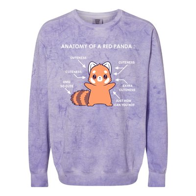 Anatomy Of A Red Panda Science Zoologist Red Panda Anatomy Gift Colorblast Crewneck Sweatshirt