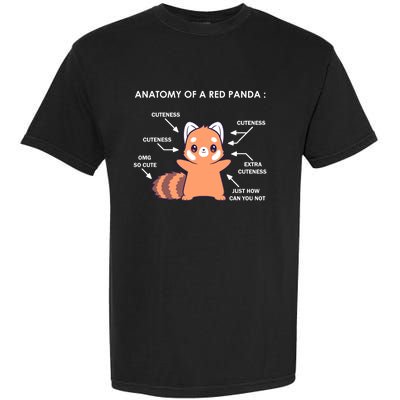 Anatomy Of A Red Panda Science Zoologist Red Panda Anatomy Gift Garment-Dyed Heavyweight T-Shirt