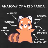 Anatomy Of A Red Panda Science Zoologist Red Panda Anatomy Gift 7 Panel Mesh Trucker Snapback Hat