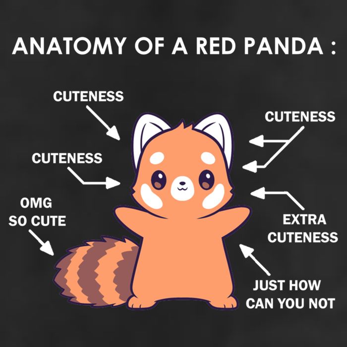Anatomy Of A Red Panda Science Zoologist Red Panda Anatomy Gift 7 Panel Mesh Trucker Snapback Hat