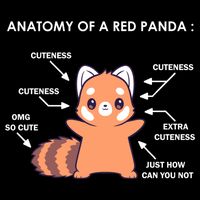 Anatomy Of A Red Panda Science Zoologist Red Panda Anatomy Gift Cooling Performance Crew T-Shirt