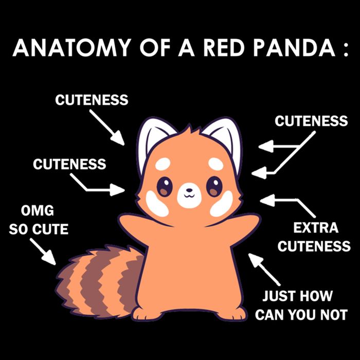 Anatomy Of A Red Panda Science Zoologist Red Panda Anatomy Gift Cooling Performance Crew T-Shirt
