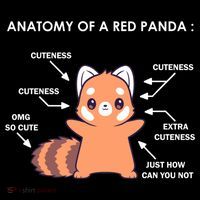 Anatomy Of A Red Panda Science Zoologist Red Panda Anatomy Gift Impact Tech Backpack