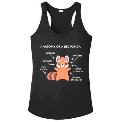 Anatomy Of A Red Panda Science Zoologist Red Panda Anatomy Gift Ladies PosiCharge Competitor Racerback Tank
