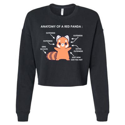 Anatomy Of A Red Panda Science Zoologist Red Panda Anatomy Gift Cropped Pullover Crew