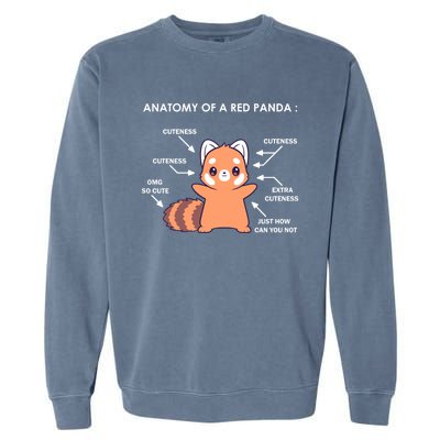 Anatomy Of A Red Panda Science Zoologist Red Panda Anatomy Gift Garment-Dyed Sweatshirt