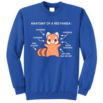 Anatomy Of A Red Panda Science Zoologist Red Panda Anatomy Gift Sweatshirt