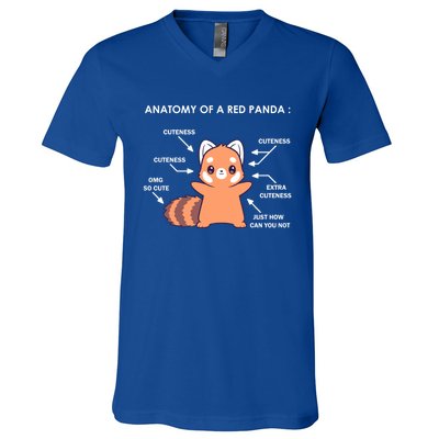 Anatomy Of A Red Panda Science Zoologist Red Panda Anatomy Gift V-Neck T-Shirt