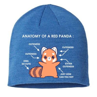 Anatomy Of A Red Panda Science Zoologist Red Panda Anatomy Gift Sustainable Beanie