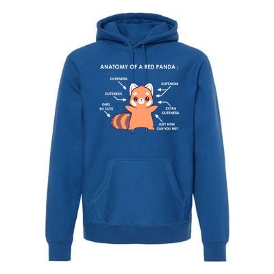 Anatomy Of A Red Panda Science Zoologist Red Panda Anatomy Gift Premium Hoodie