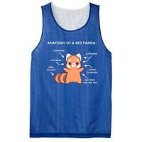 Anatomy Of A Red Panda Science Zoologist Red Panda Anatomy Gift Mesh Reversible Basketball Jersey Tank