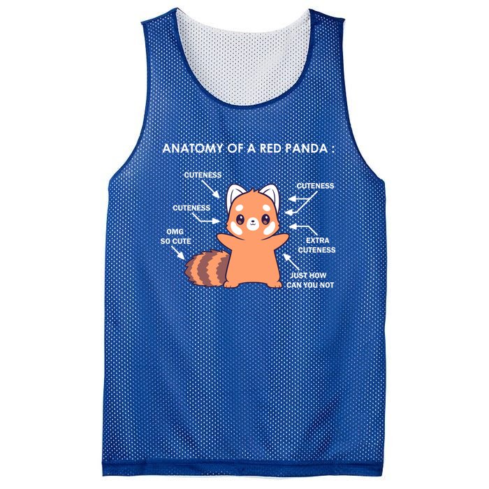 Anatomy Of A Red Panda Science Zoologist Red Panda Anatomy Gift Mesh Reversible Basketball Jersey Tank