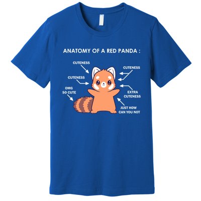 Anatomy Of A Red Panda Science Zoologist Red Panda Anatomy Gift Premium T-Shirt