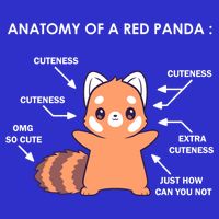 Anatomy Of A Red Panda Science Zoologist Red Panda Anatomy Gift Zip Tote Bag