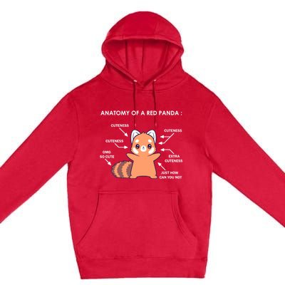 Anatomy Of A Red Panda Science Zoologist Red Panda Anatomy Gift Premium Pullover Hoodie