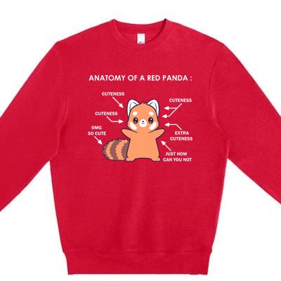 Anatomy Of A Red Panda Science Zoologist Red Panda Anatomy Gift Premium Crewneck Sweatshirt