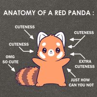 Anatomy Of A Red Panda Science Zoologist Red Panda Anatomy Gift Cotton Canvas Backpack