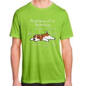 Anatomy Of A Brittany Spaniel Funny Dog Gift Adult ChromaSoft Performance T-Shirt