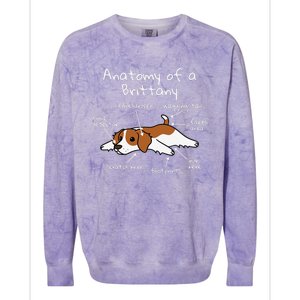 Anatomy Of A Brittany Spaniel Funny Dog Gift Colorblast Crewneck Sweatshirt