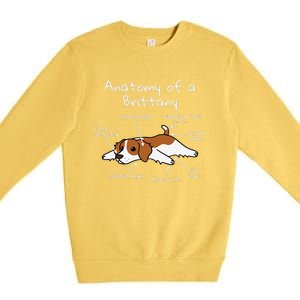 Anatomy Of A Brittany Spaniel Funny Dog Gift Premium Crewneck Sweatshirt