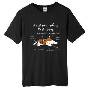 Anatomy Of A Brittany Spaniel Funny Dog Gift Tall Fusion ChromaSoft Performance T-Shirt