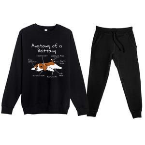 Anatomy Of A Brittany Spaniel Funny Dog Gift Premium Crewneck Sweatsuit Set