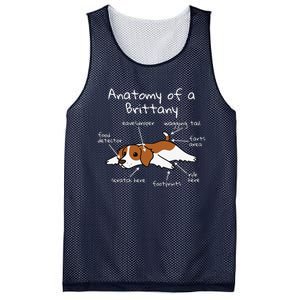 Anatomy Of A Brittany Spaniel Funny Dog Gift Mesh Reversible Basketball Jersey Tank