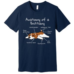 Anatomy Of A Brittany Spaniel Funny Dog Gift Premium T-Shirt