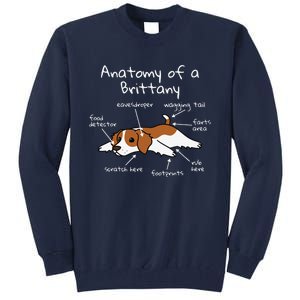 Anatomy Of A Brittany Spaniel Funny Dog Gift Tall Sweatshirt