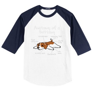 Anatomy Of A Brittany Spaniel Funny Dog Gift Baseball Sleeve Shirt