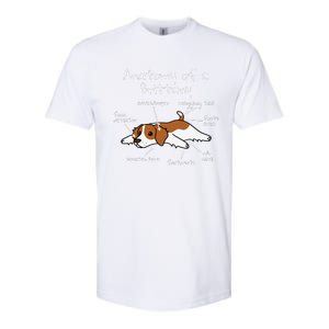 Anatomy Of A Brittany Spaniel Funny Dog Gift Softstyle CVC T-Shirt