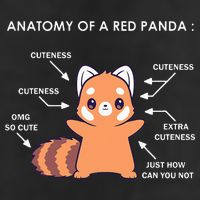 Anatomy Of A Red Panda Science Zoologist Red Panda Anatomy 7 Panel Mesh Trucker Snapback Hat