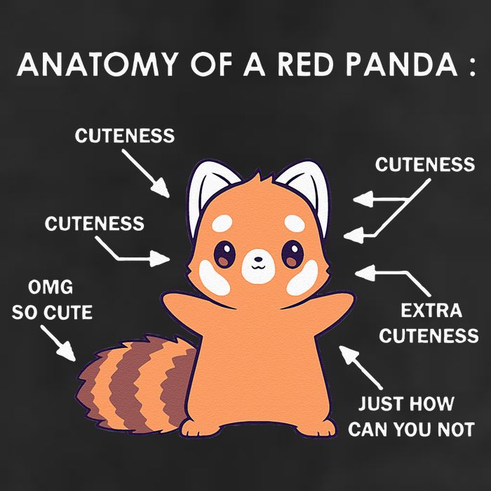 Anatomy Of A Red Panda Science Zoologist Red Panda Anatomy 7 Panel Mesh Trucker Snapback Hat