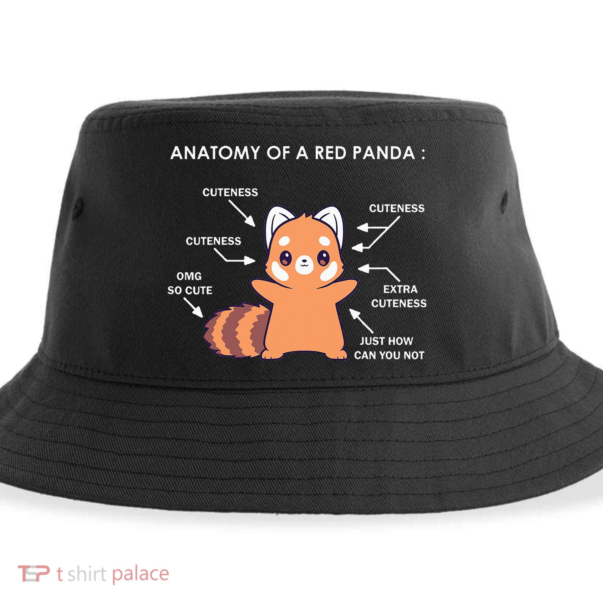 Anatomy Of A Red Panda Science Zoologist Red Panda Anatomy Sustainable Bucket Hat